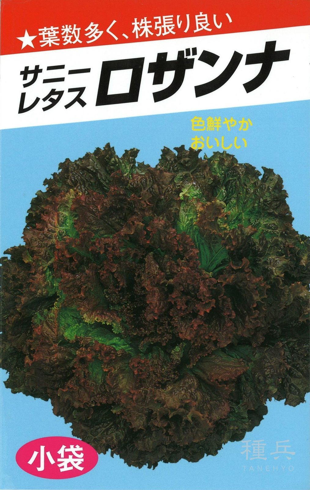 レッドリーフレタス 種 『ロザンナ』  横浜植木