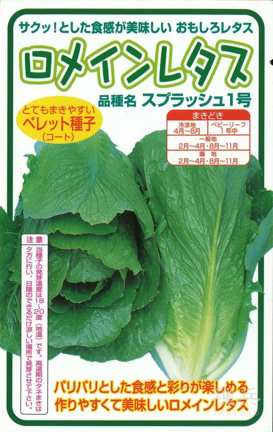 ロメイン（コス）レタス 種 『スプラッシュ１号』  横浜植木