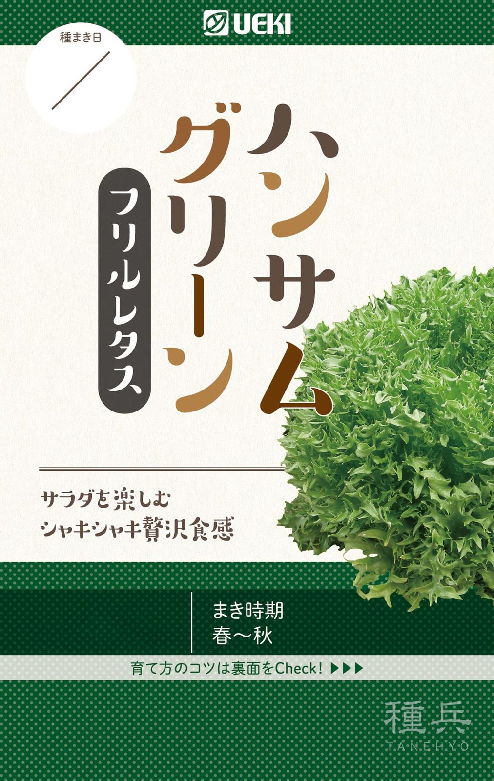 グリーンフリルレタス 種 『ハンサムグリーン』  横浜植木