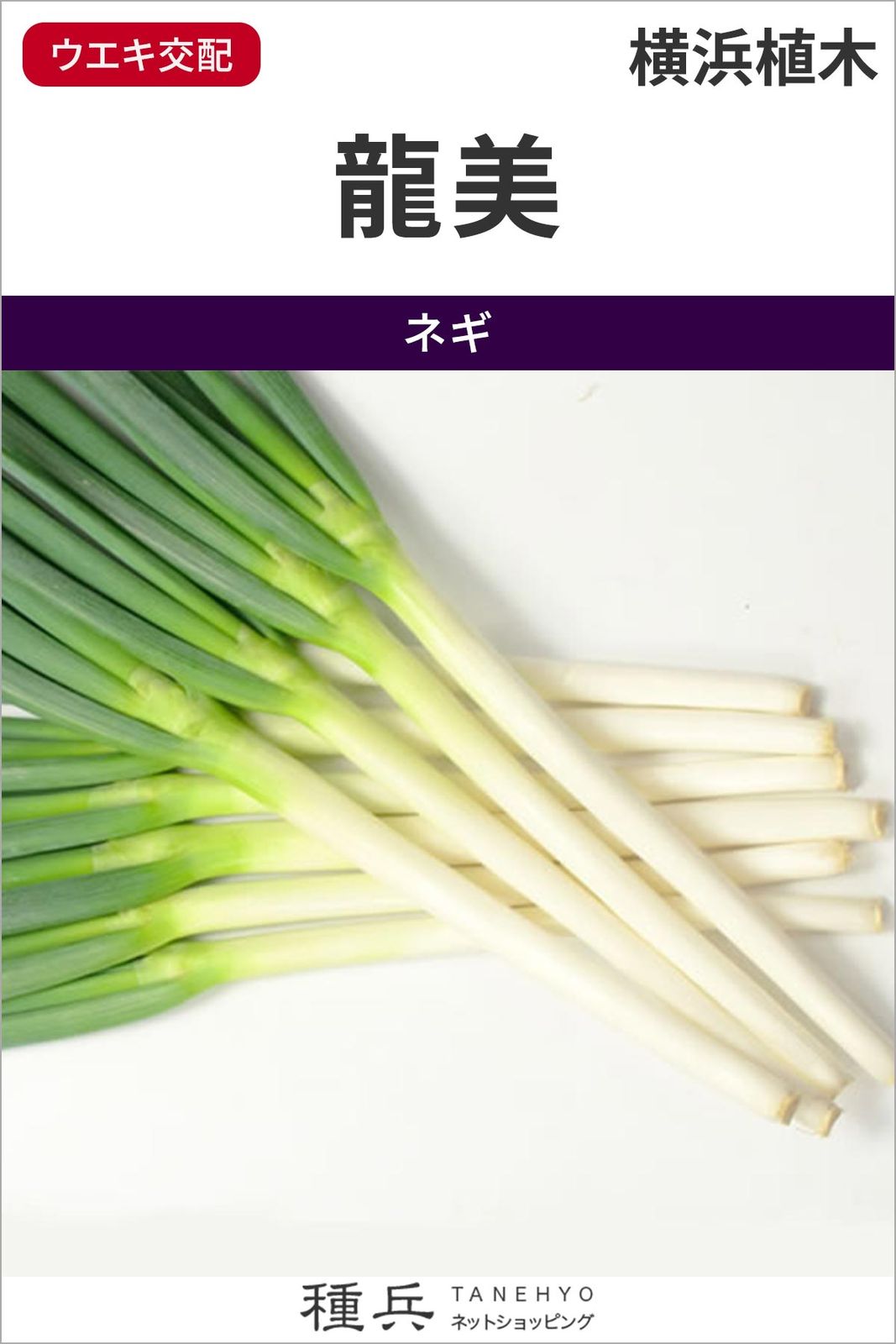 たね,葉菜の種,ネギ | 種兵ネットショッピング