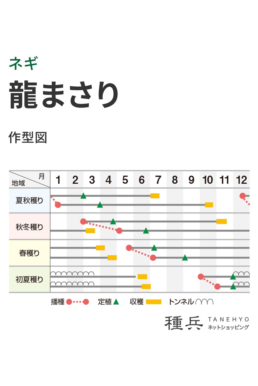 Aaaa　龍まさり　5缶 根深ネギ 種 『龍まさり』 横浜植木 | たね,葉菜の種,ネギ,根深・白