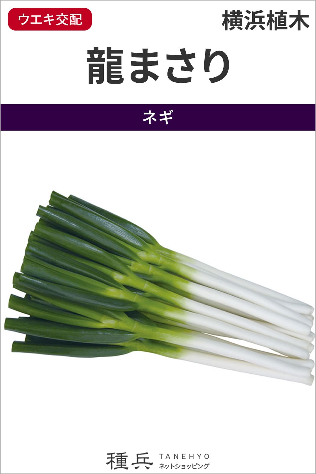 たね,葉菜の種,ネギ,根深・白ネギ | 種兵ネットショッピング