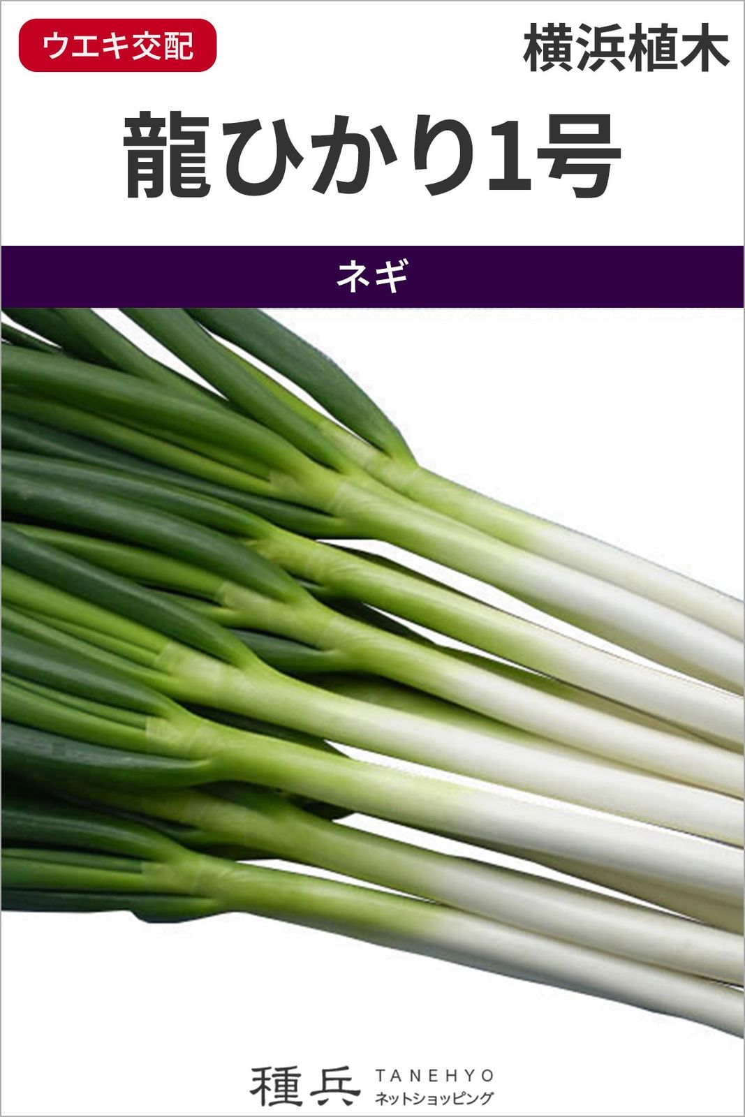 たね,葉菜の種,ネギ,根深・白ネギ | 種兵ネットショッピング