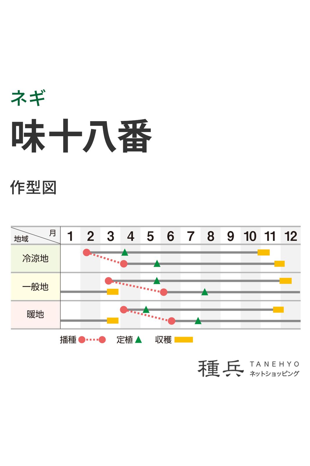 根深ネギ 種 『味十八番』 横浜植木 | たね,葉菜の種,ネギ,根深・白