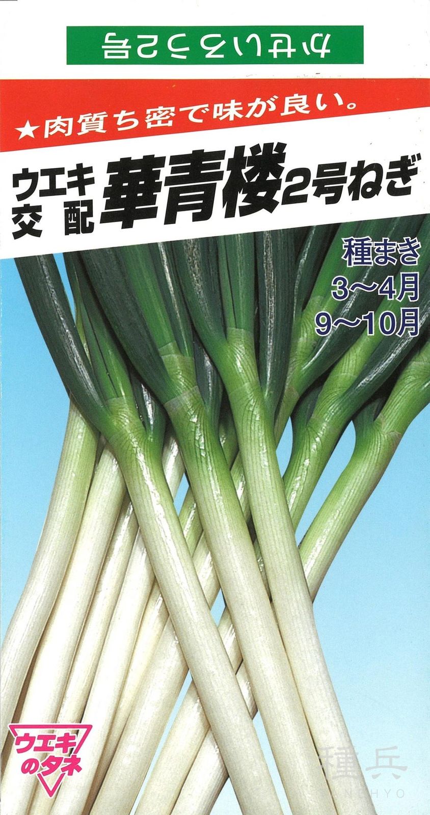 たね,葉菜の種,ネギ | 種兵ネットショッピング