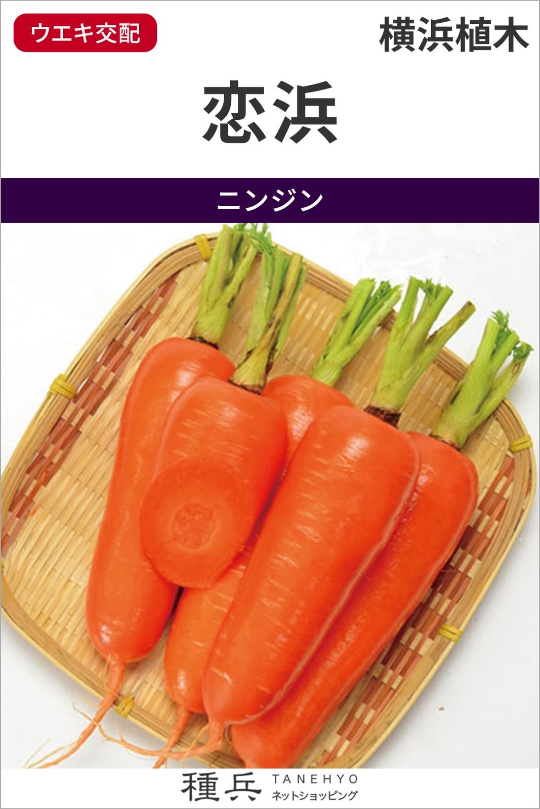 ニンジン 種 『恋浜』  横浜植木