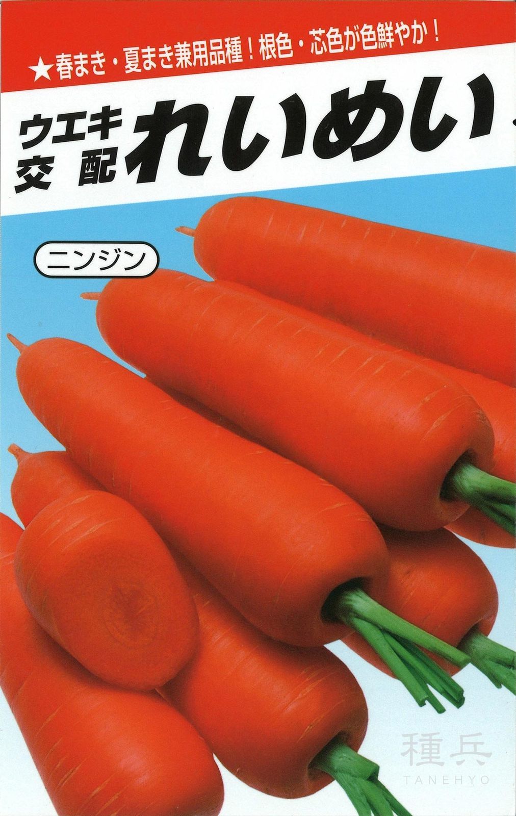 ニンジン 種 『れいめい五寸』  横浜植木