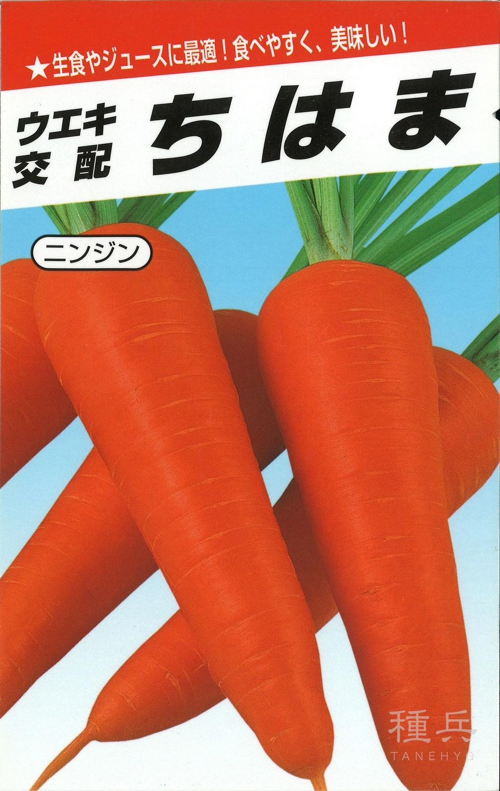 ニンジン 種 『ちはま五寸』  横浜植木