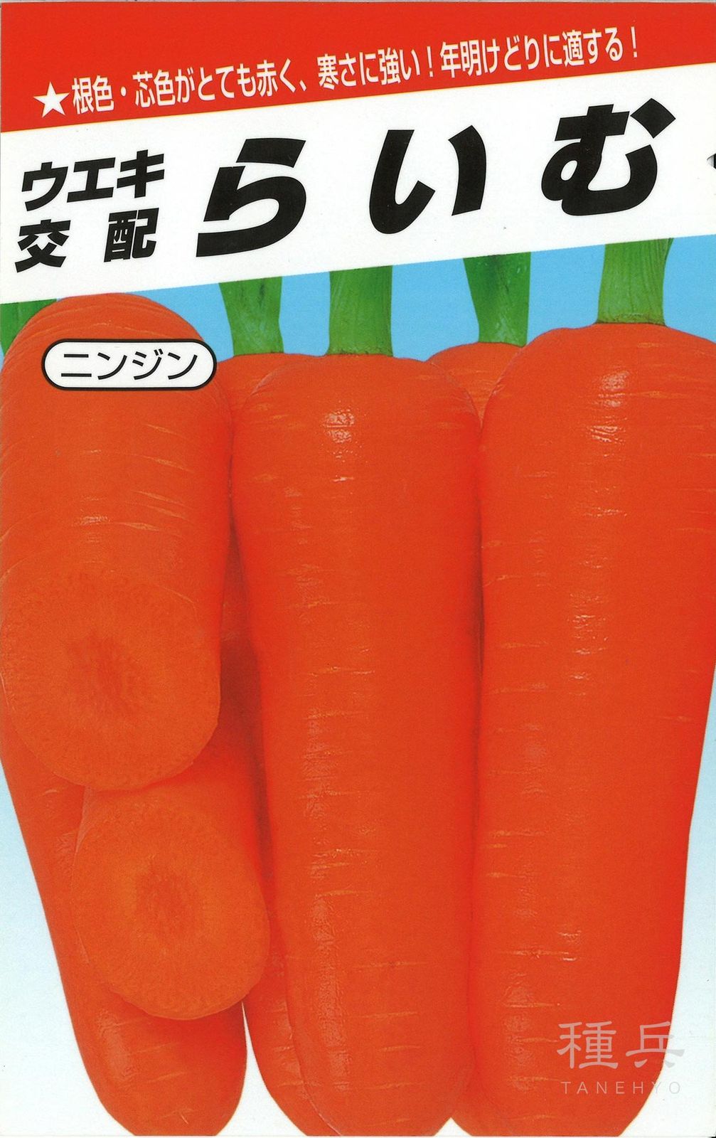 ニンジン 種 『らいむ五寸』  横浜植木