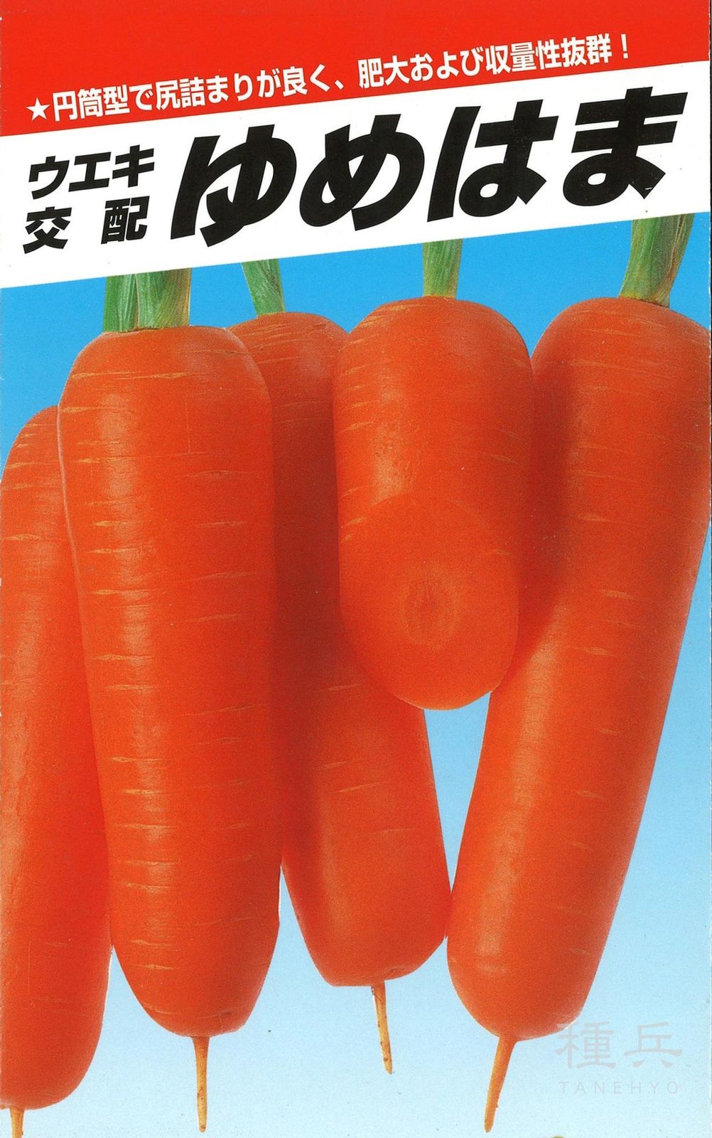 ニンジン 種 『ゆめはま五寸』  横浜植木