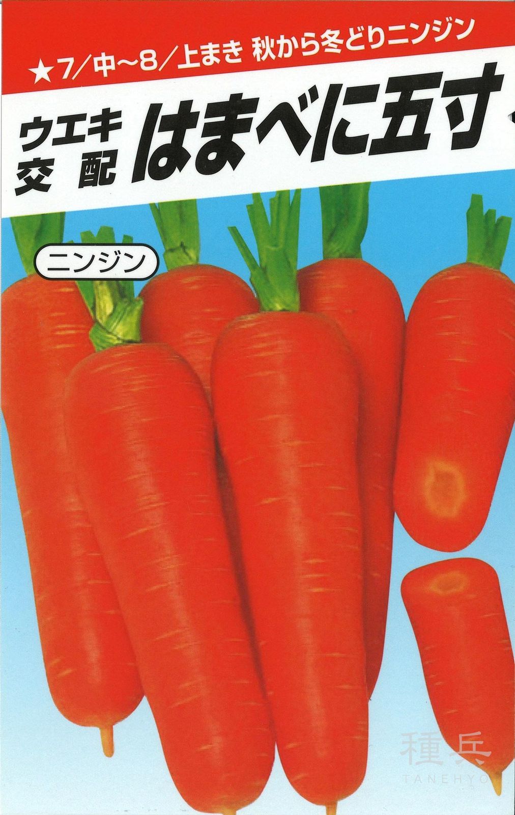 ニンジン 種 『はまべに五寸』  横浜植木