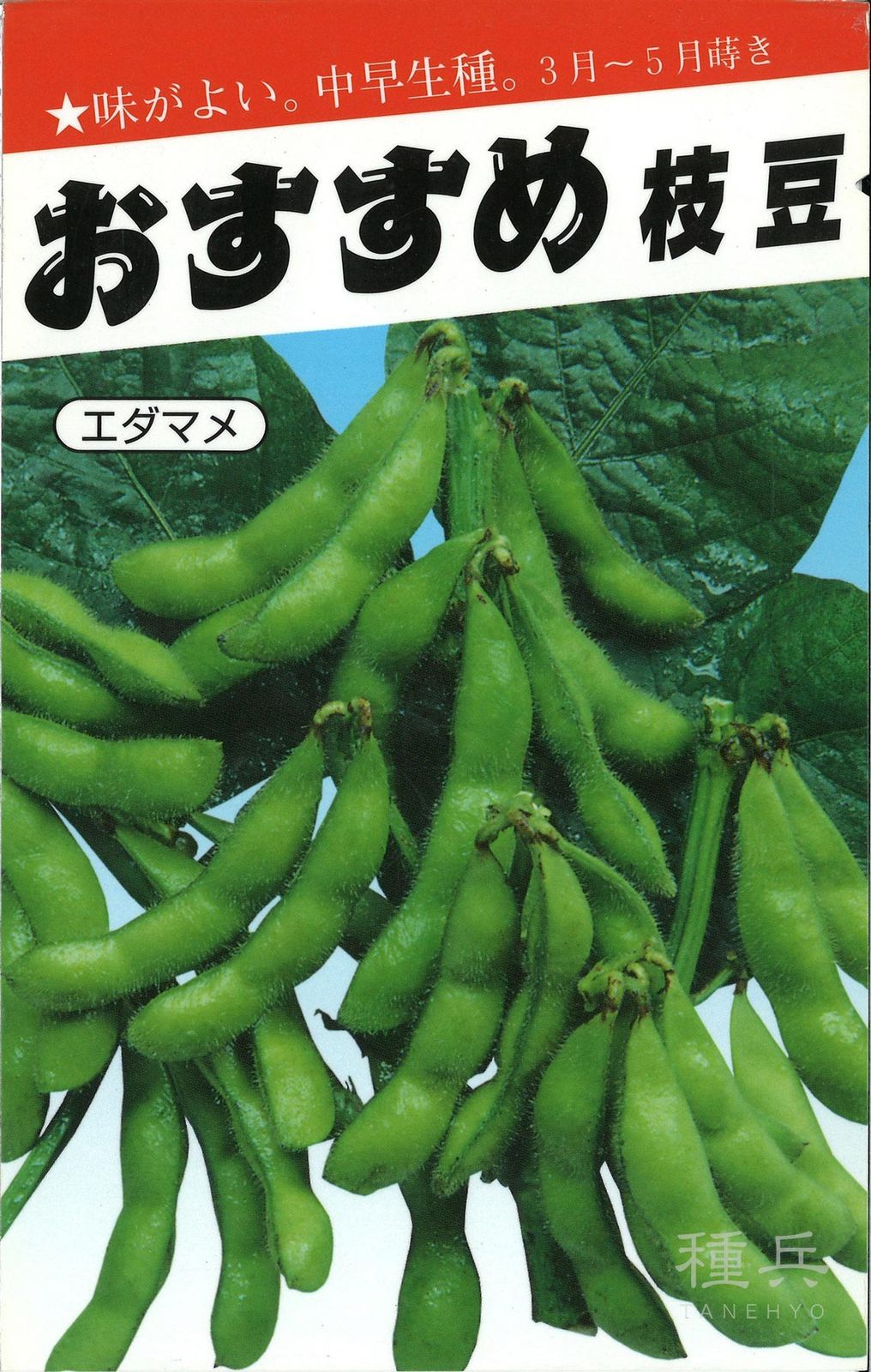 エダマメ 種 『おすすめ』  横浜植木