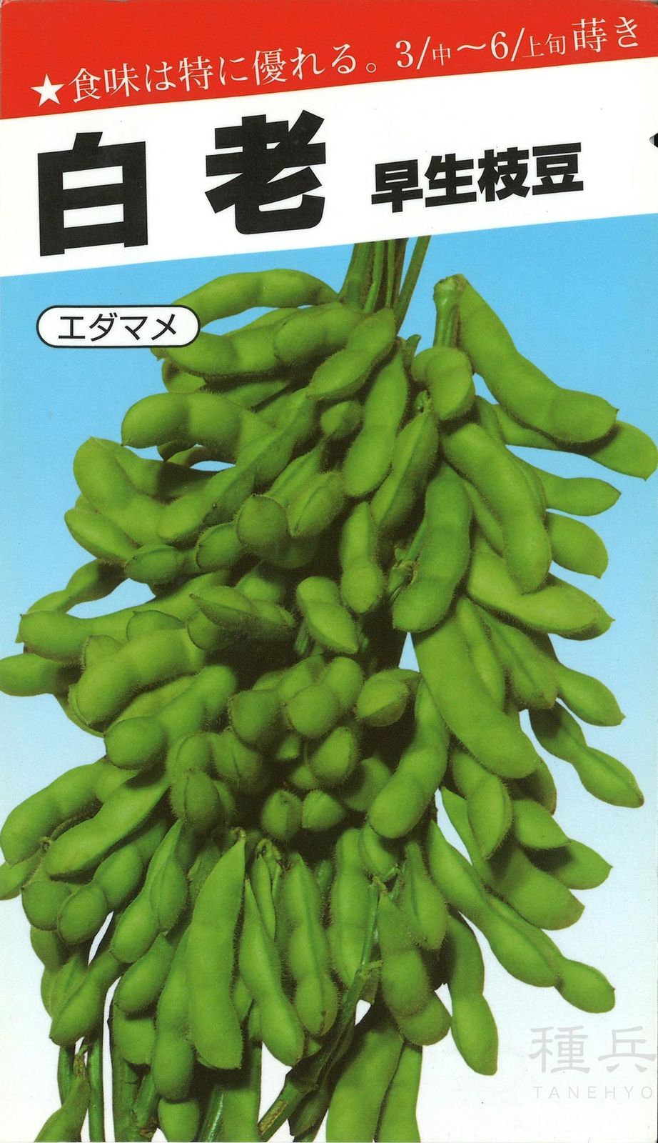 エダマメ 種 『白老早生』  横浜植木