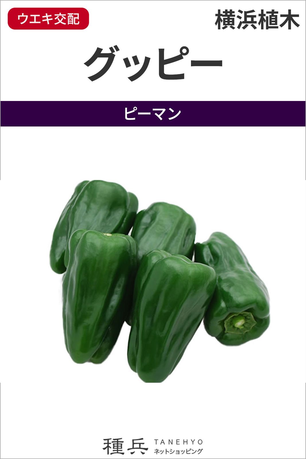 ピーマン 種 『グッピー(UN-607)』  横浜植木