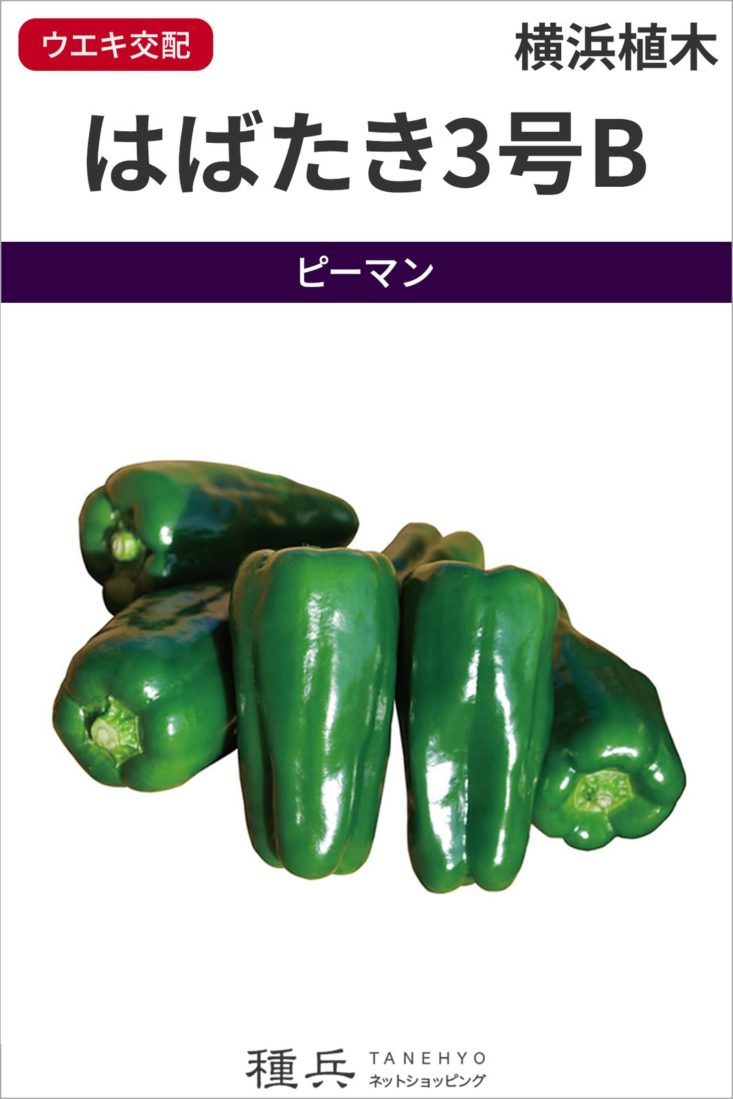 ピーマン 種 『はばたき3号B』  横浜植木