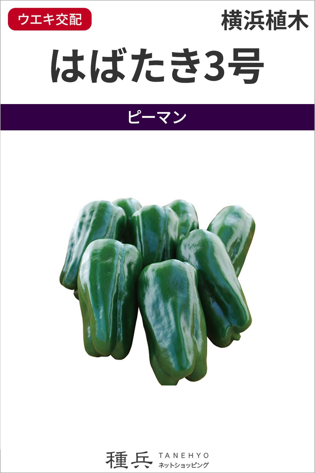 ピーマン 種 『はばたき３号』  横浜植木