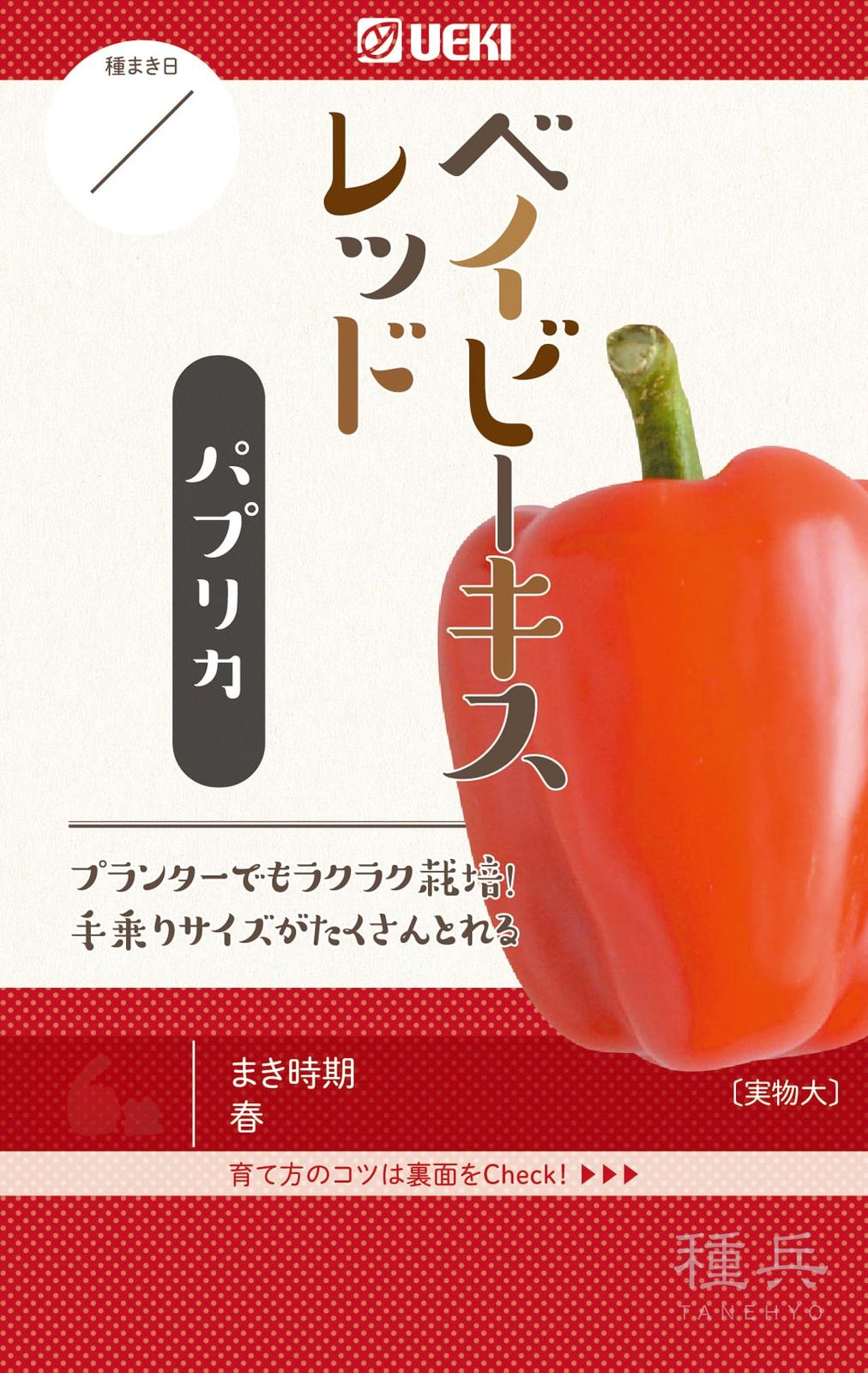 ミディパプリカ 種 『ベイビーキスレッド』  横浜植木