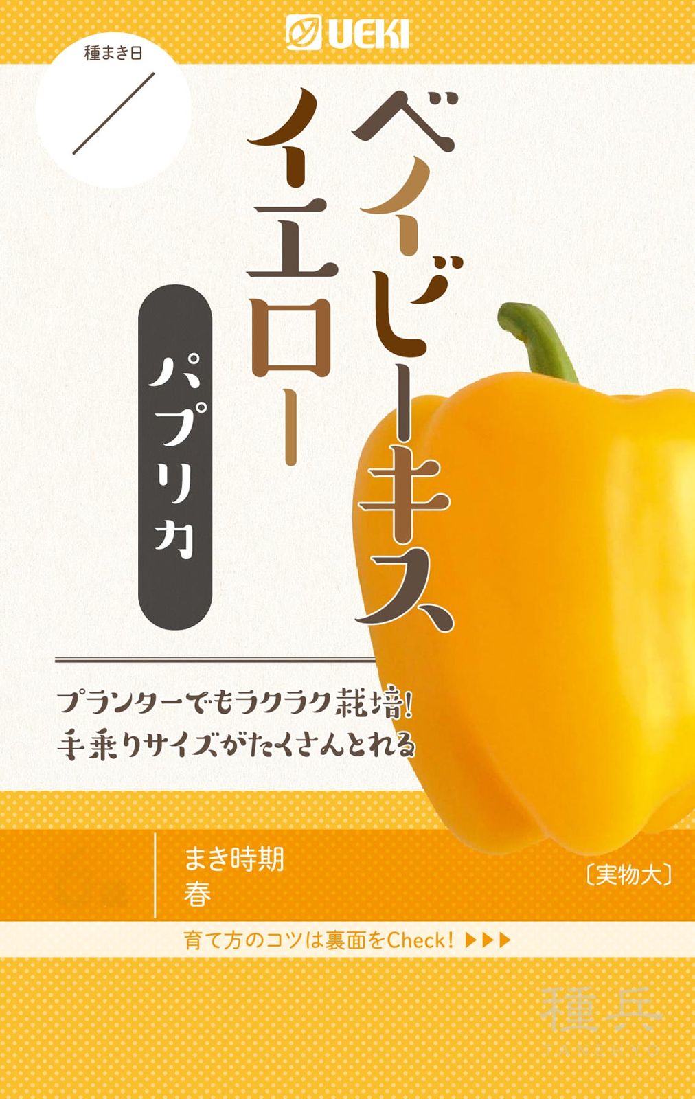 ミディパプリカ 種 『ベイビーキスイエロー』  横浜植木