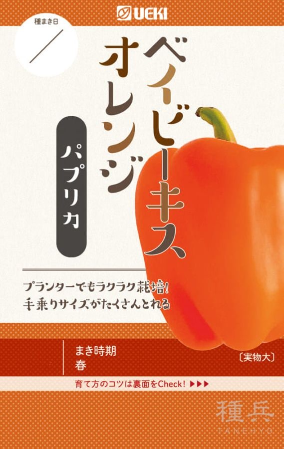 ミディパプリカ 種 『ベイビーキスオレンジ』  横浜植木