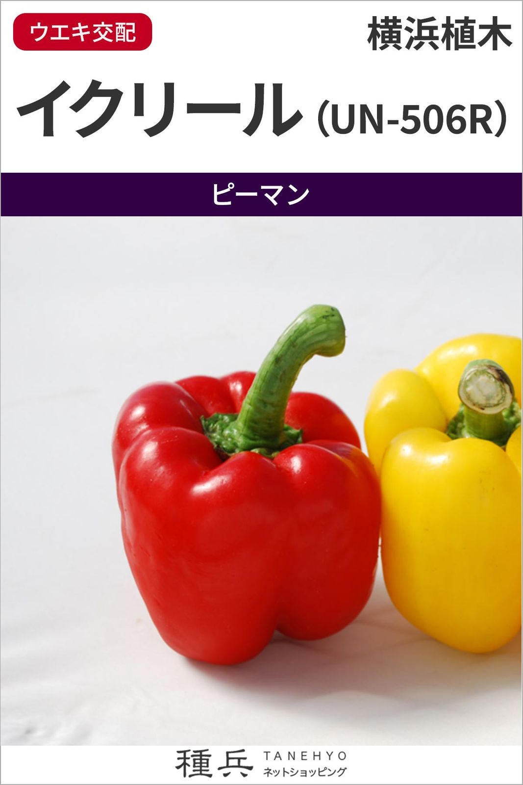 大玉赤パプリカ 種 『イクリール（UN-506R）』  横浜植木