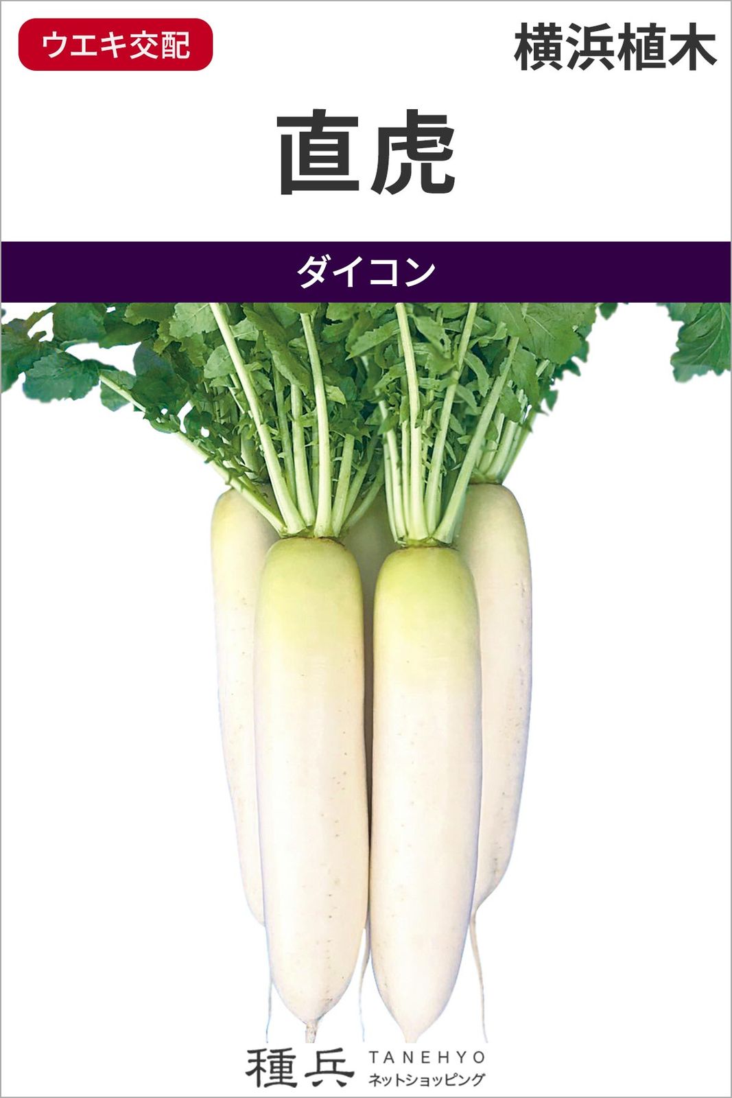ダイコン 種 『直虎』  横浜植木