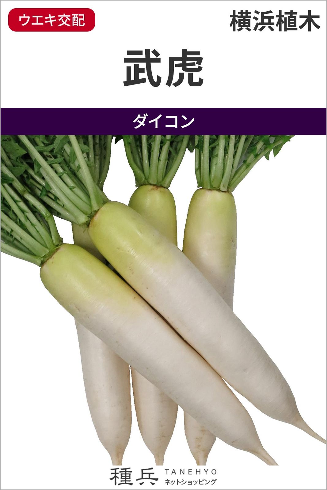 ダイコン 種 『武虎』  横浜植木