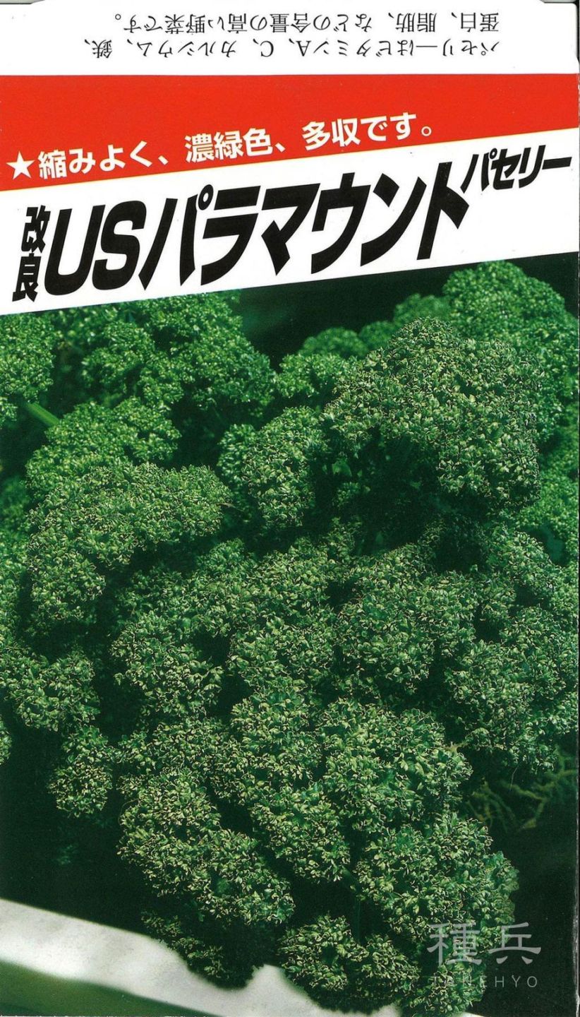 パセリ 種 『改良ＵＳパラマウント』  横浜植木