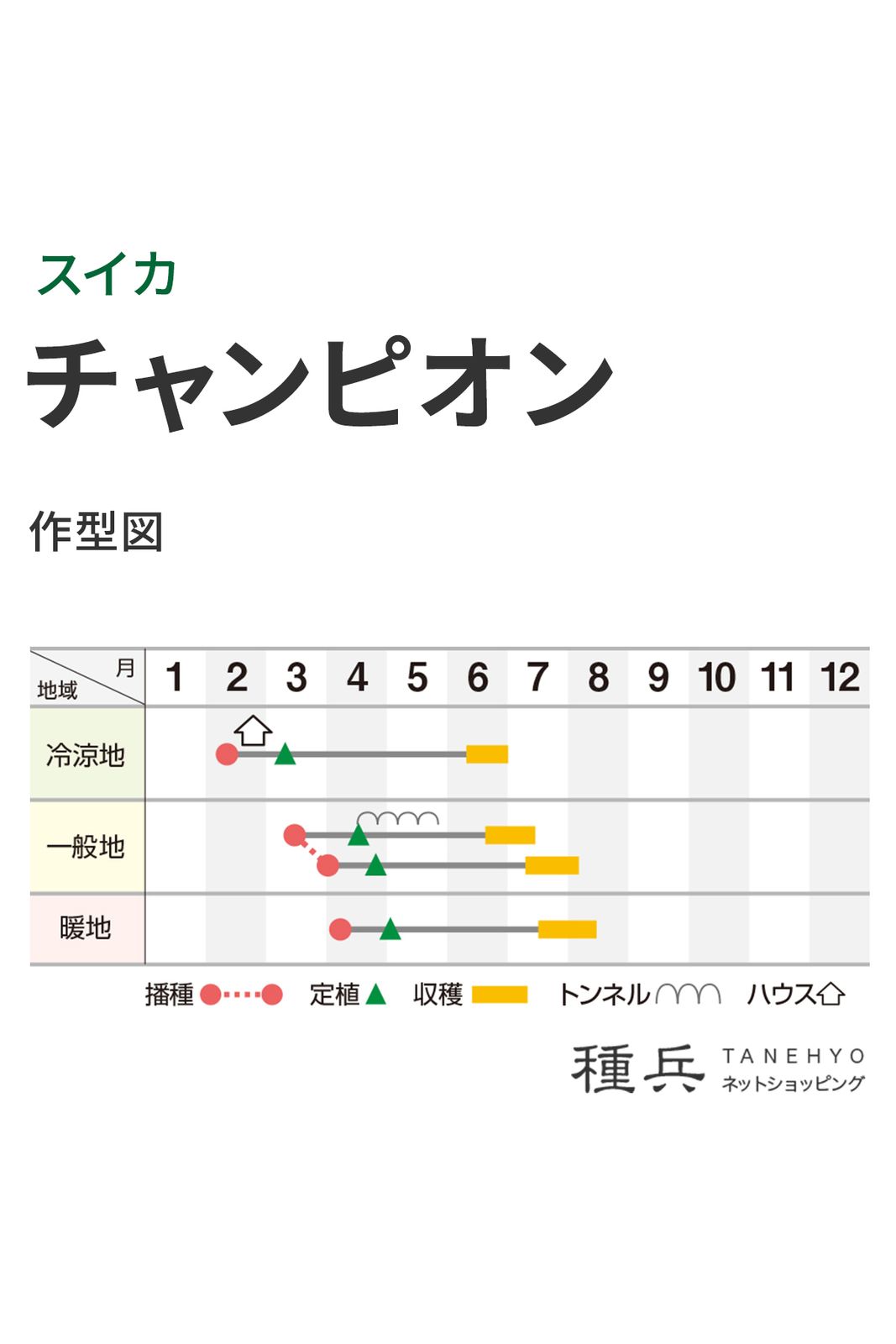 赤肉スイカ 種 『チャンピオン』 横浜植木 | たね,果菜の種,スイカ,中