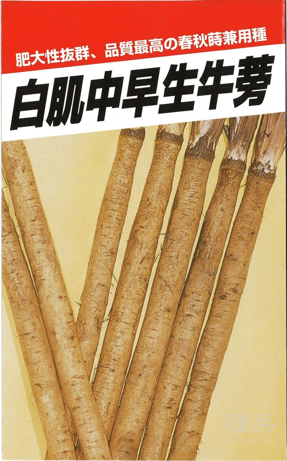 ゴボウ 種 『白肌中早生』  横浜植木