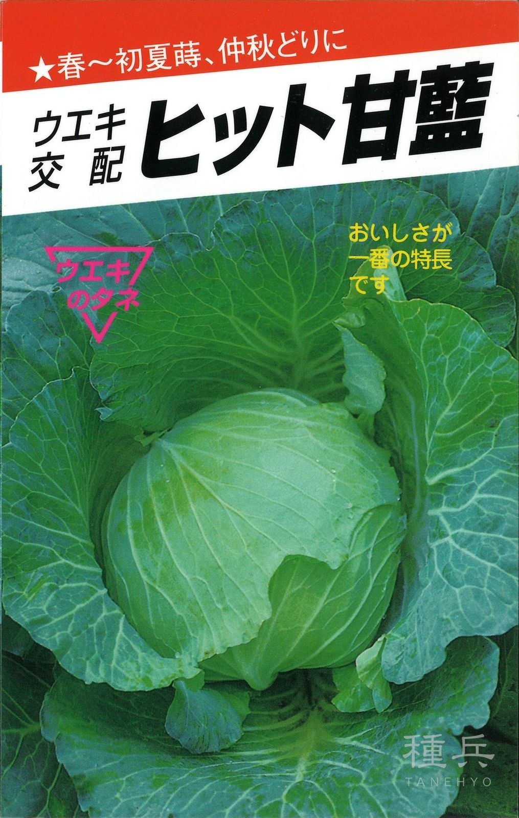 キャベツ 種 『ヒット甘藍』  横浜植木