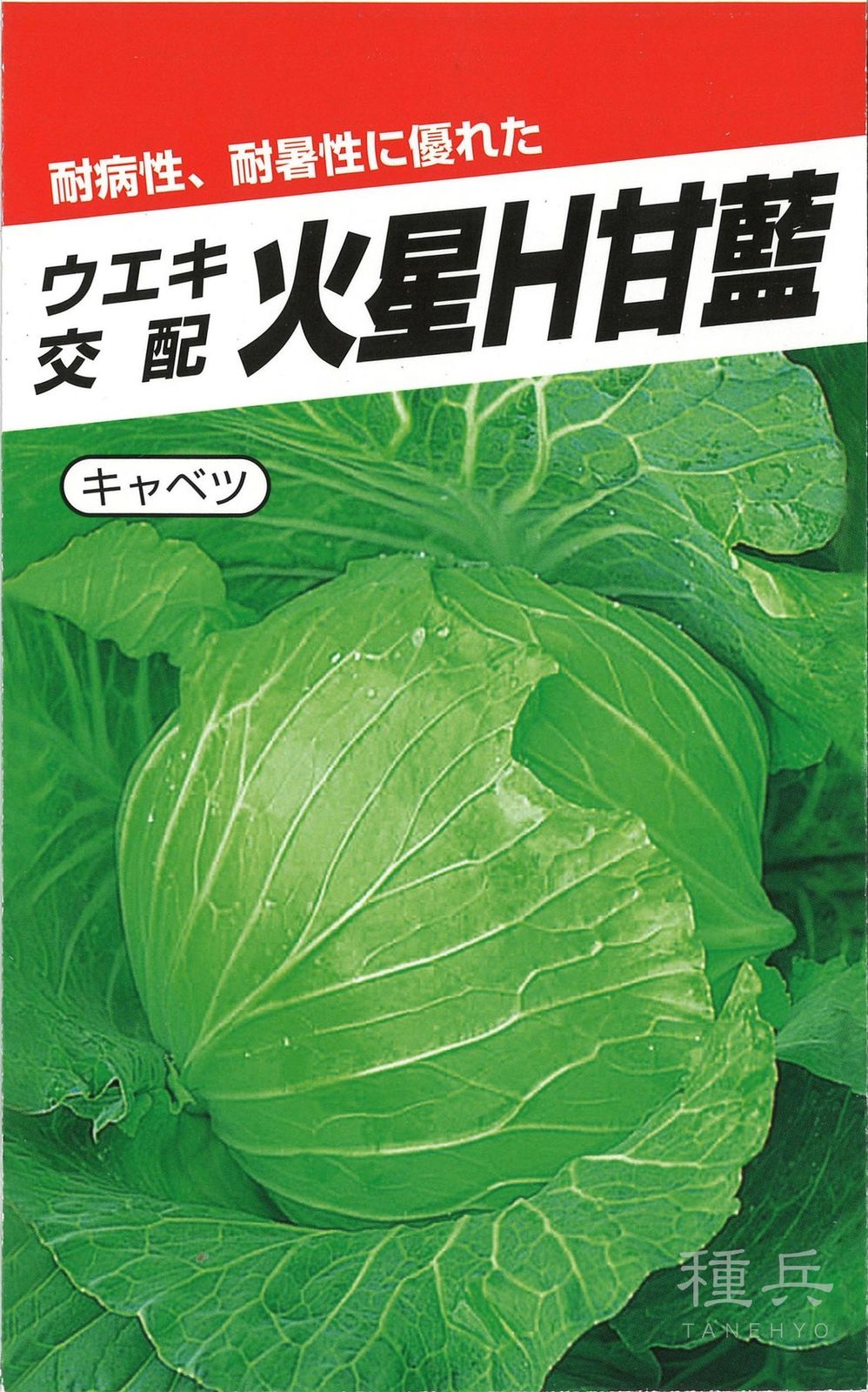 キャベツ 種 『火星Ｈ甘藍』  横浜植木