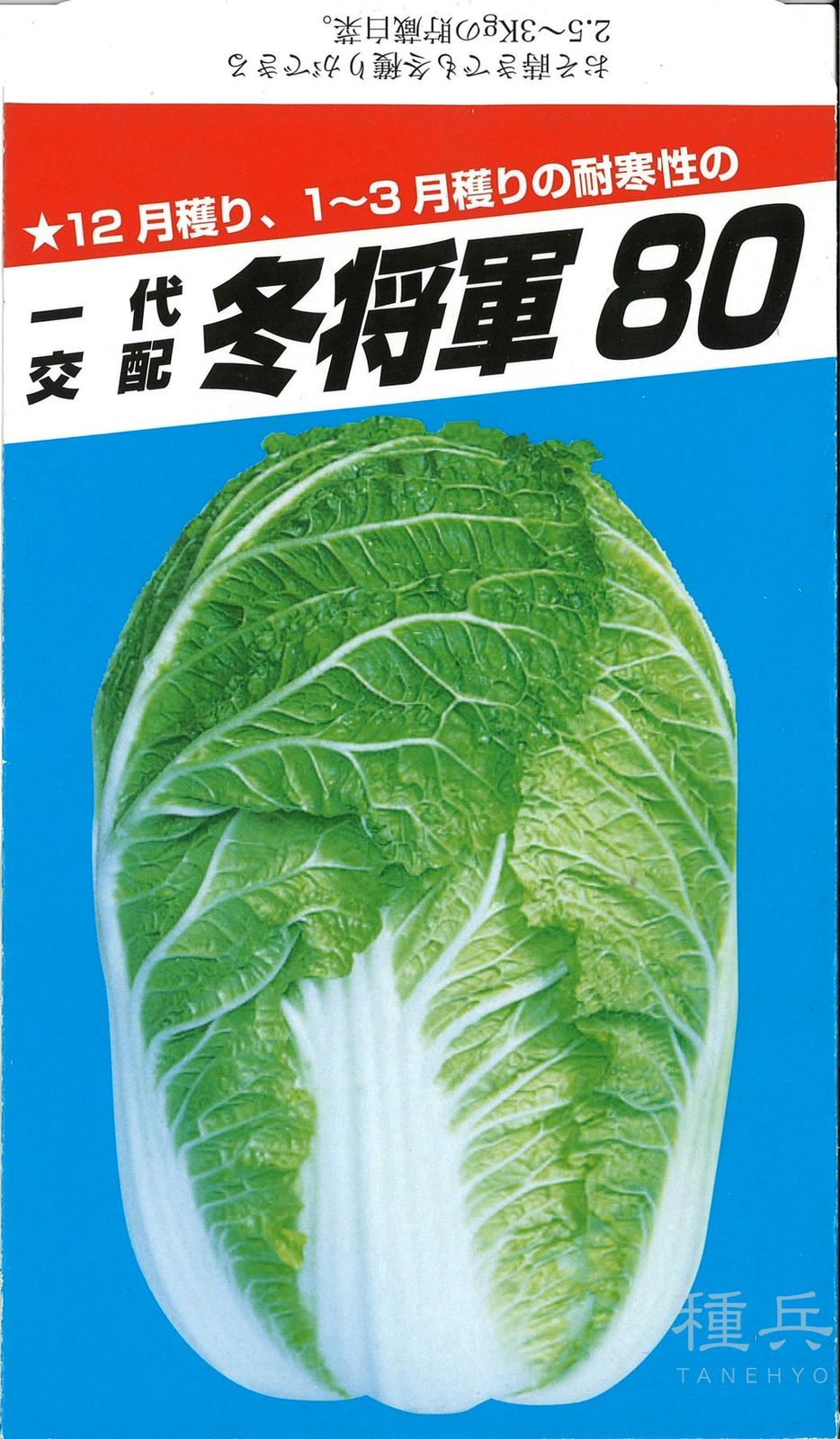 ハクサイ 種 『冬将軍80』  横浜植木