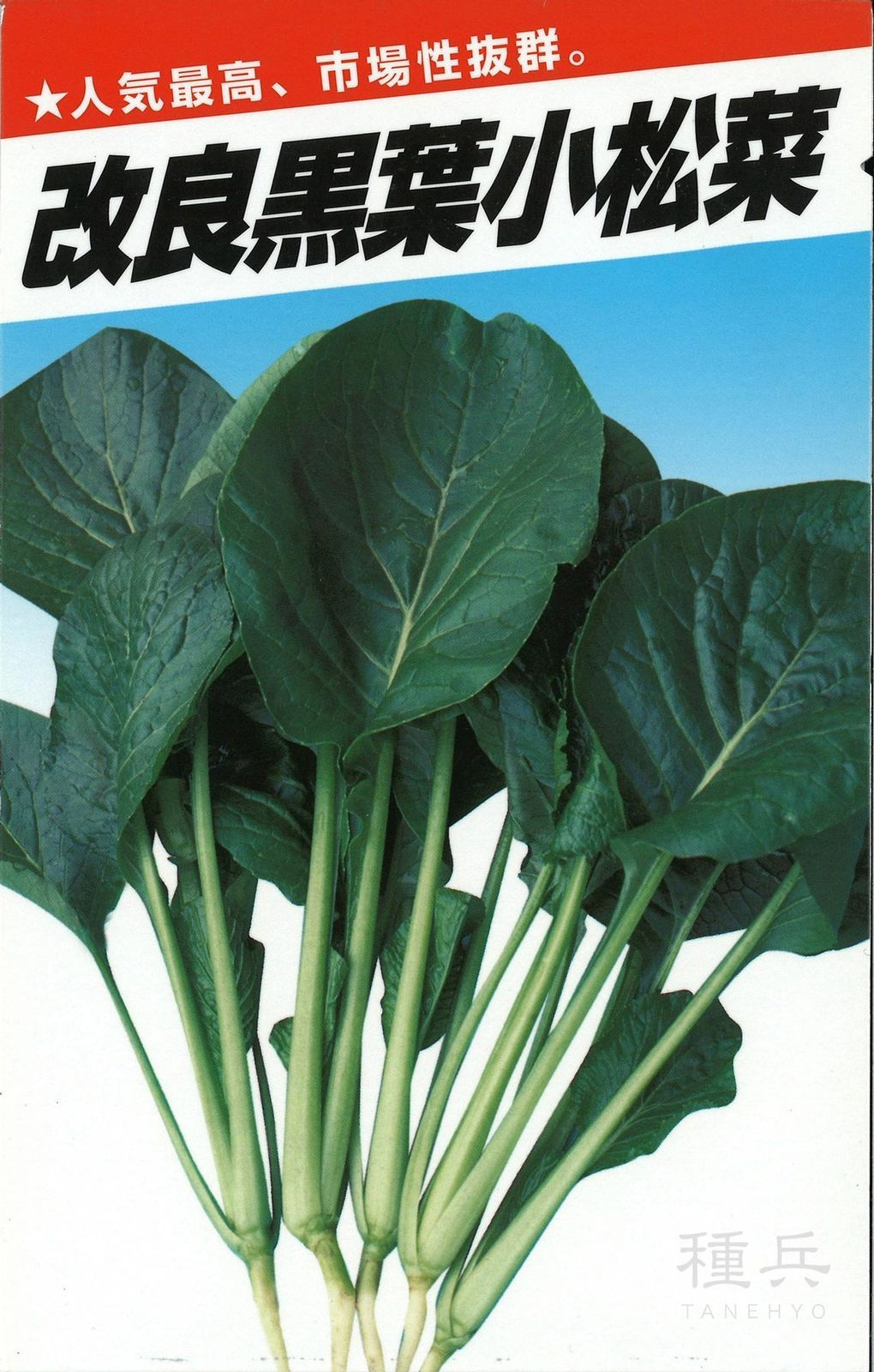 コマツナ 種 『改良黒葉小松菜』  横浜植木