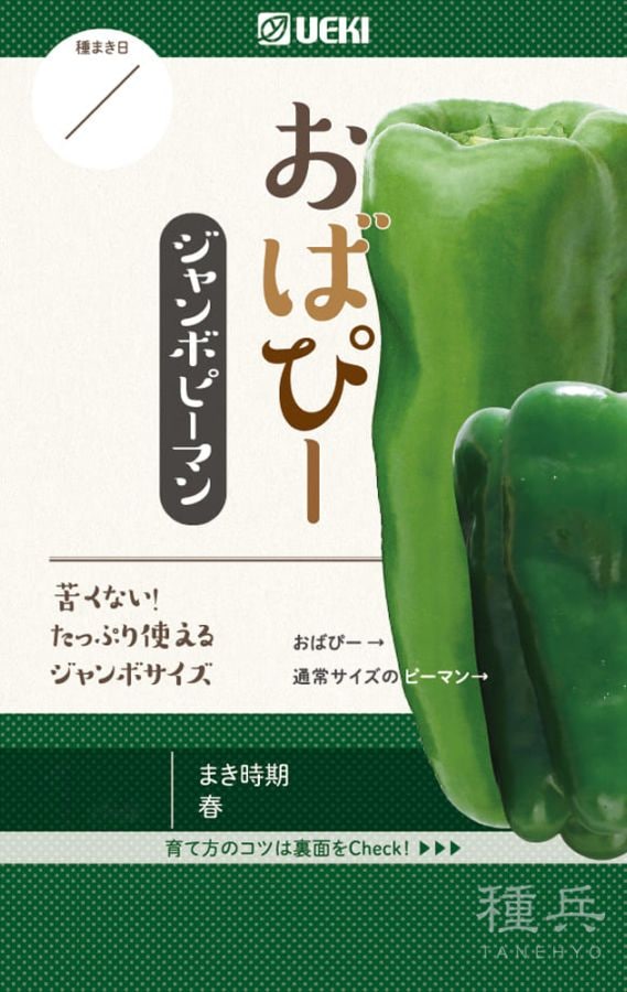 ピーマン 種 『おばぴー 』  横浜植木