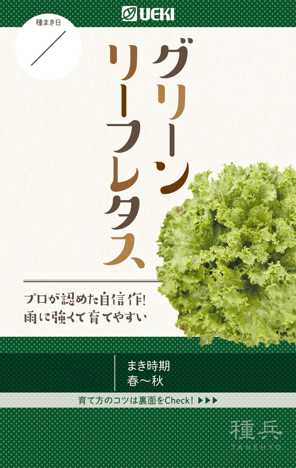 リーフレタス 種 『グリーンリーフレタス』  横浜植木