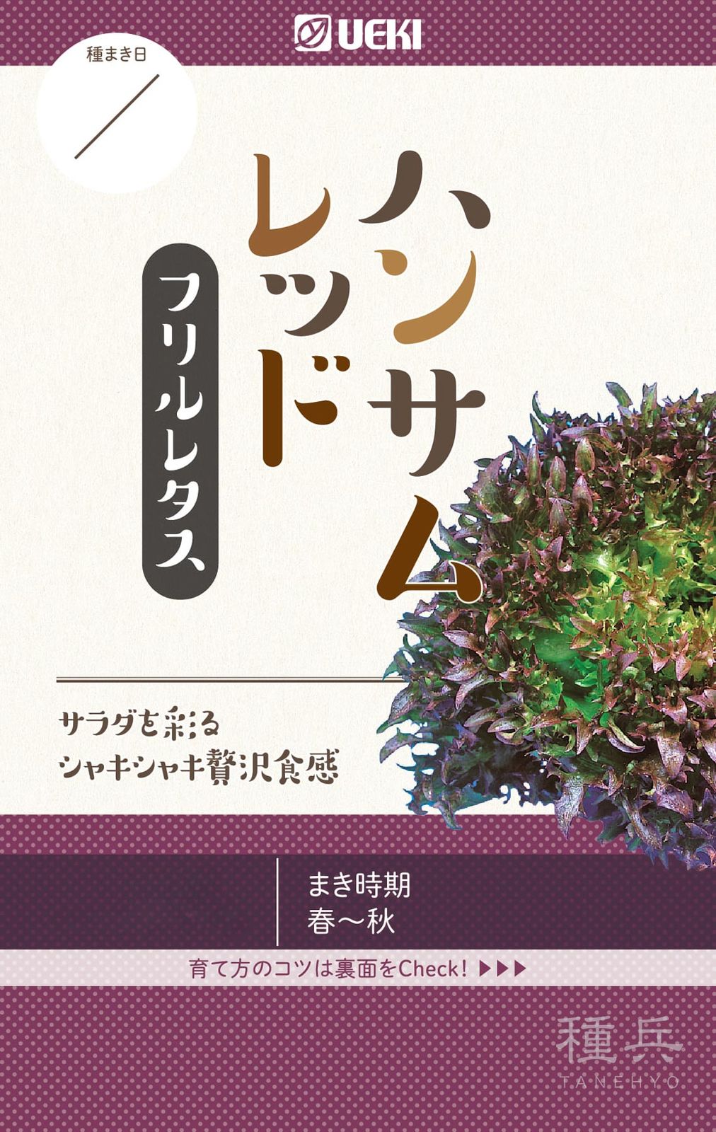 レッドリーフレタス 種 『ハンサムレッド』  横浜植木