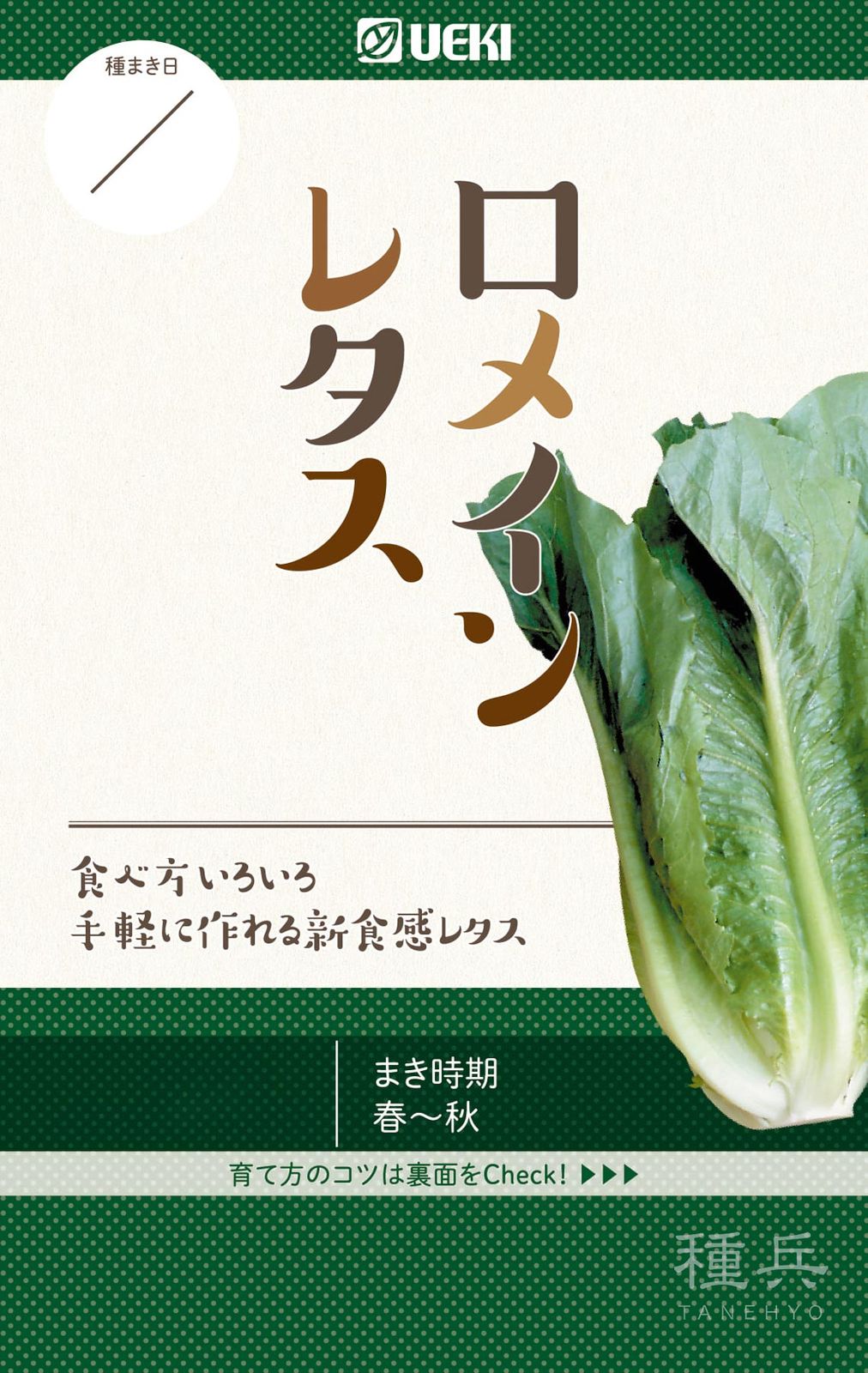 ロメインレタス 種 『ロメインレタス』  横浜植木