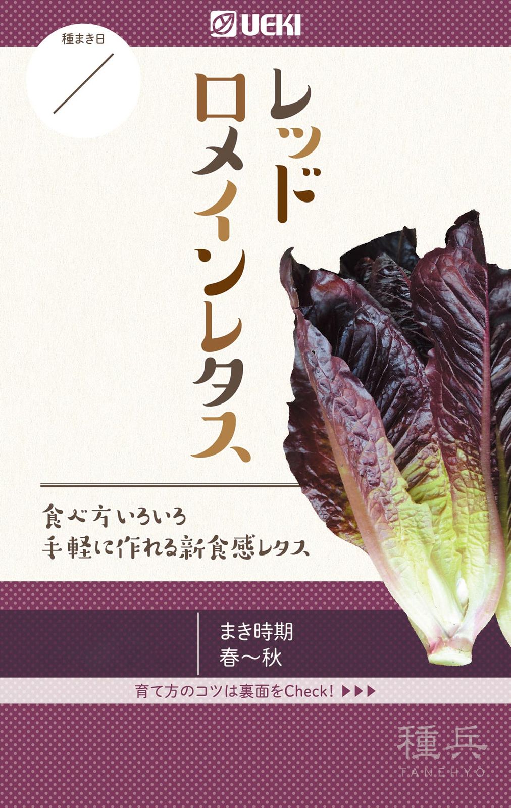 レッドロメインレタス 種 『レッドロメインレタス』  横浜植木