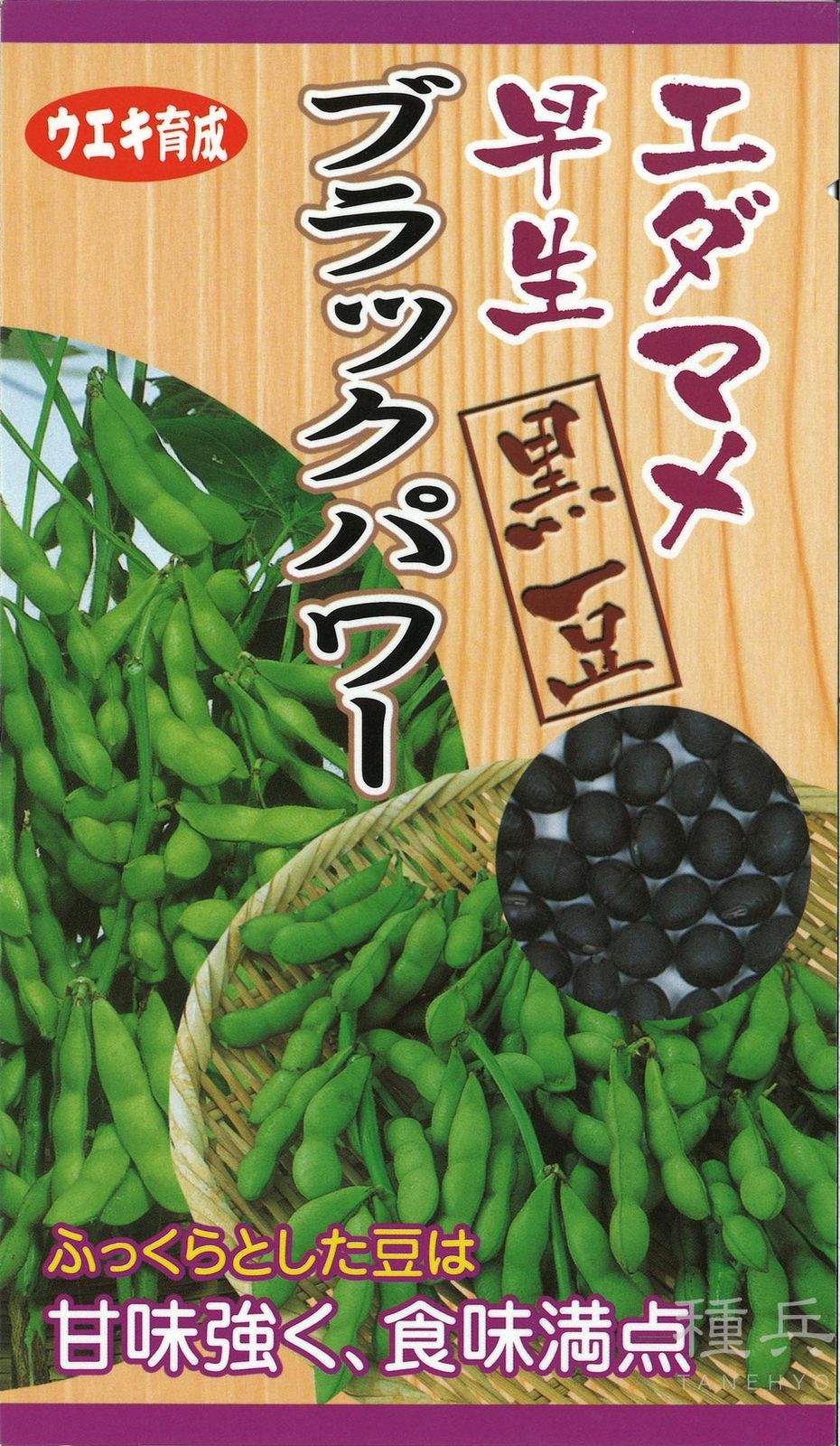 黒エダマメ 種 『ブラックパワー』  横浜植木