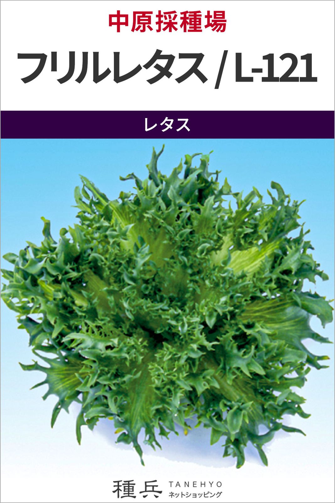 リーフレタス 種 『フリルレタス（早生系）／L-121』  中原採種場