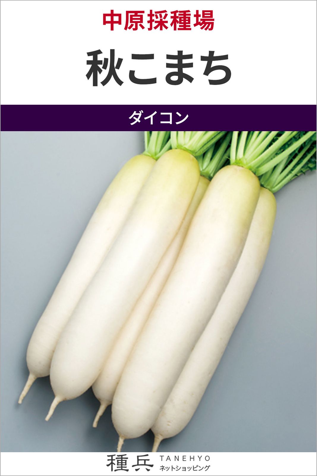 晩夏～秋まき、春まきダイコン 種 『秋こまち』  中原採種場