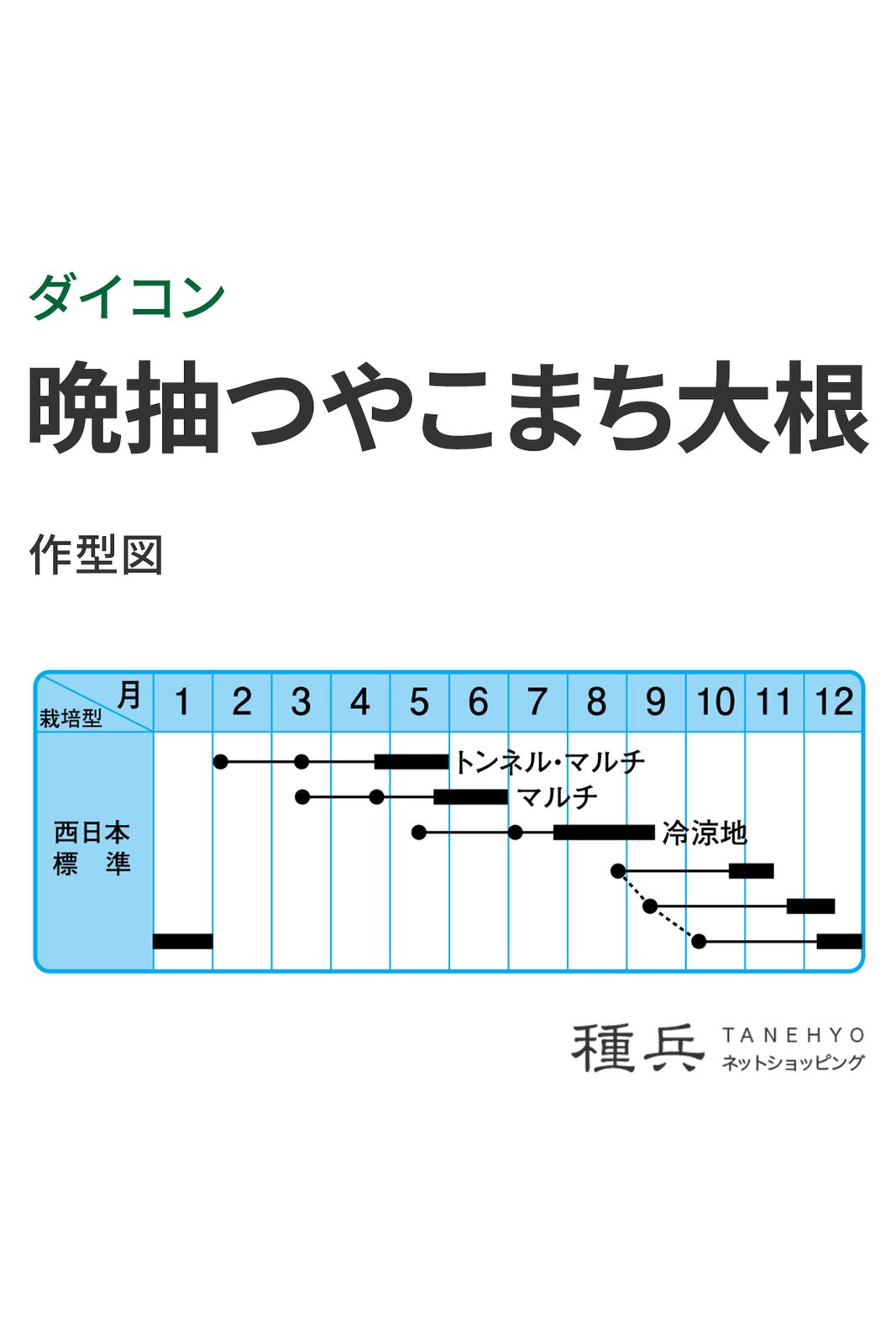 ダイコン 種 『晩抽つやこまち大根』 中原採種場 | たね,根菜の種