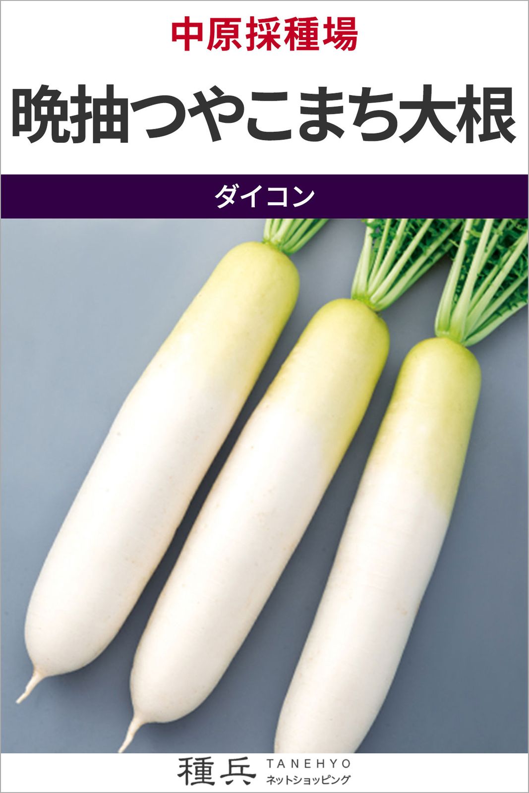 ダイコン 種 『晩抽つやこまち大根』  中原採種場