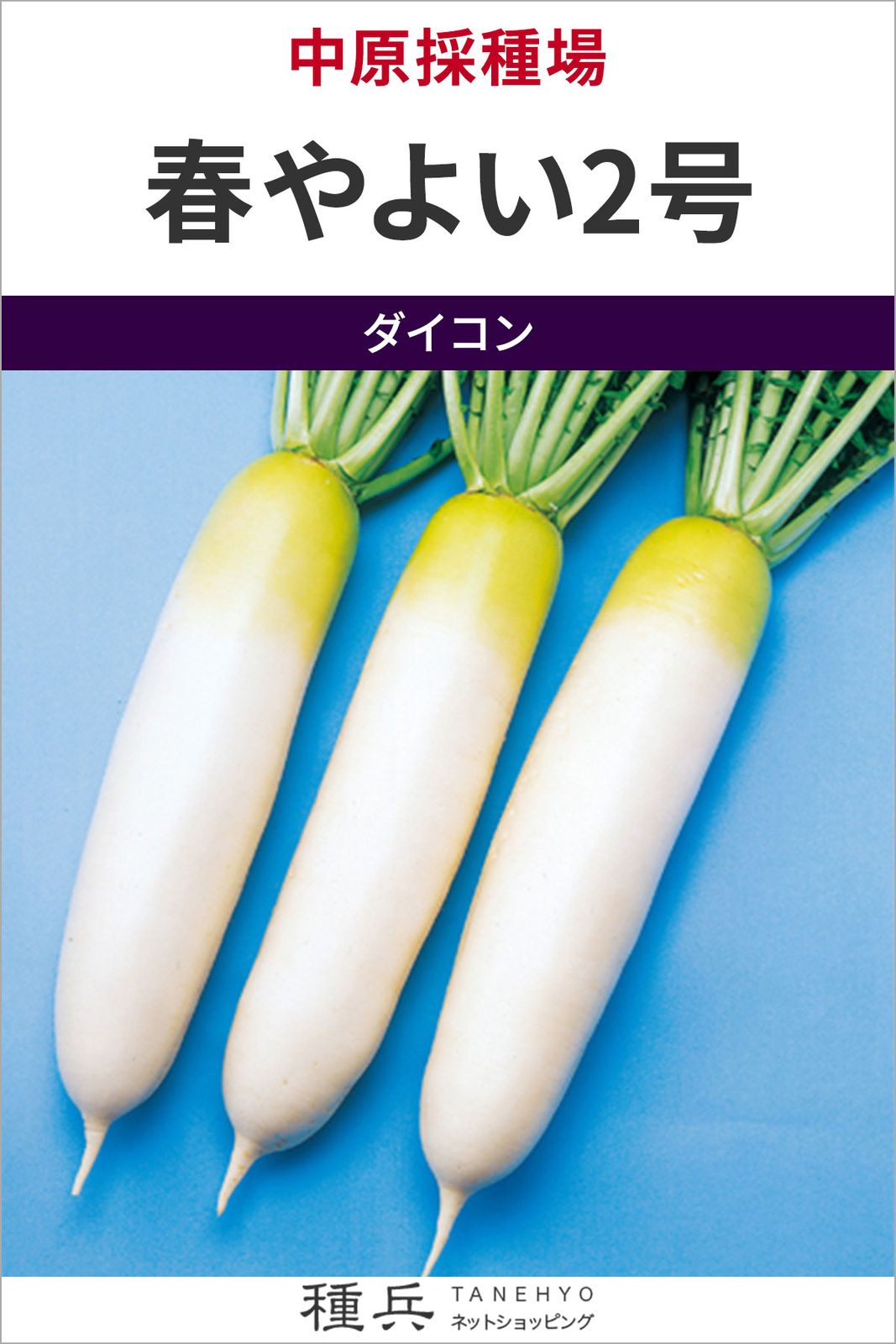 ダイコン 種 『春やよい2号』  中原採種場