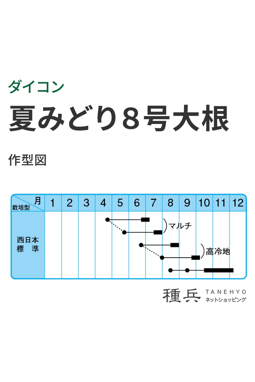 ダイコン 種 『夏みどり8号大根』 中原採種場 | たね,根菜の種