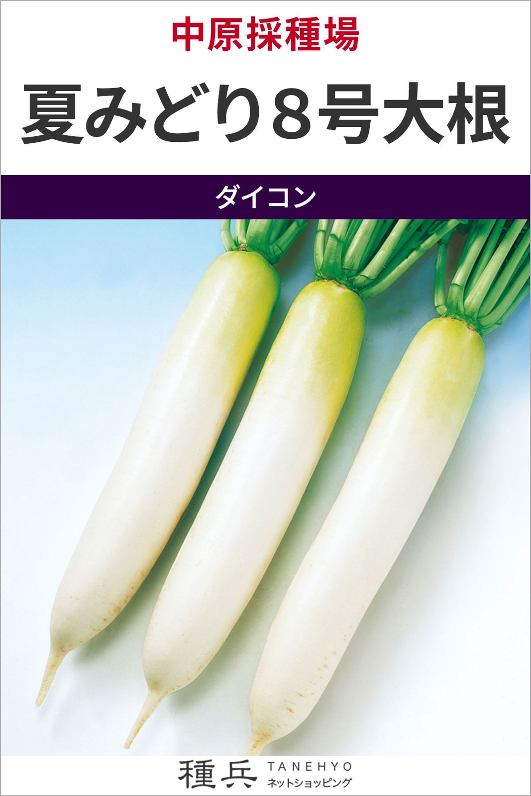 ダイコン 種 『夏みどり８号大根』  中原採種場