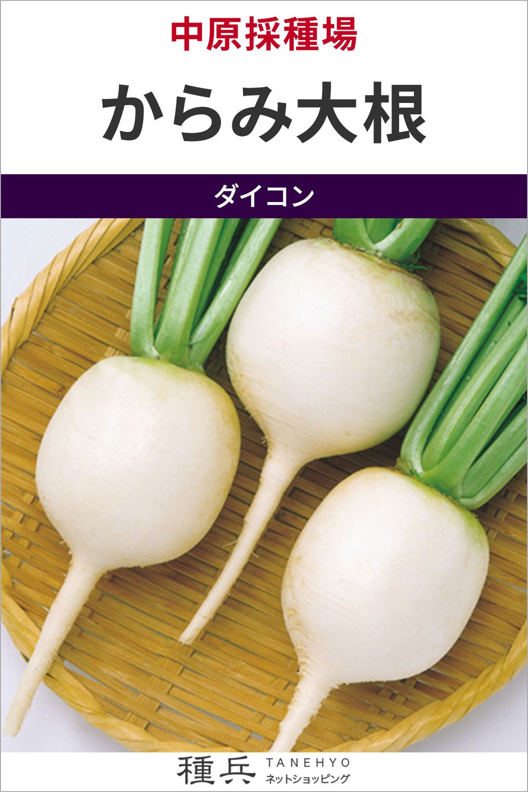 辛味大根 種 『からみ大根』  中原採種場