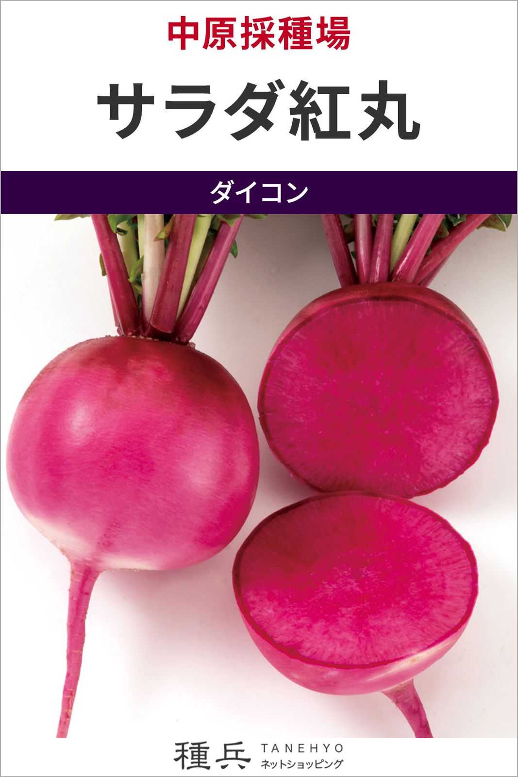 丸型紅芯大根 種 『サラダ紅丸』  中原採種場