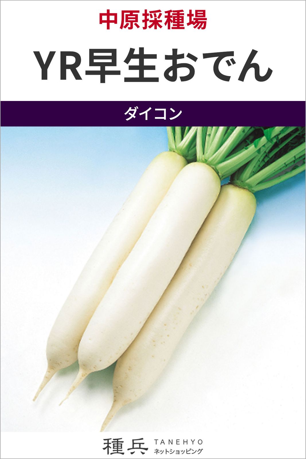 ダイコン 種 『YR早生おでん』  中原採種場
