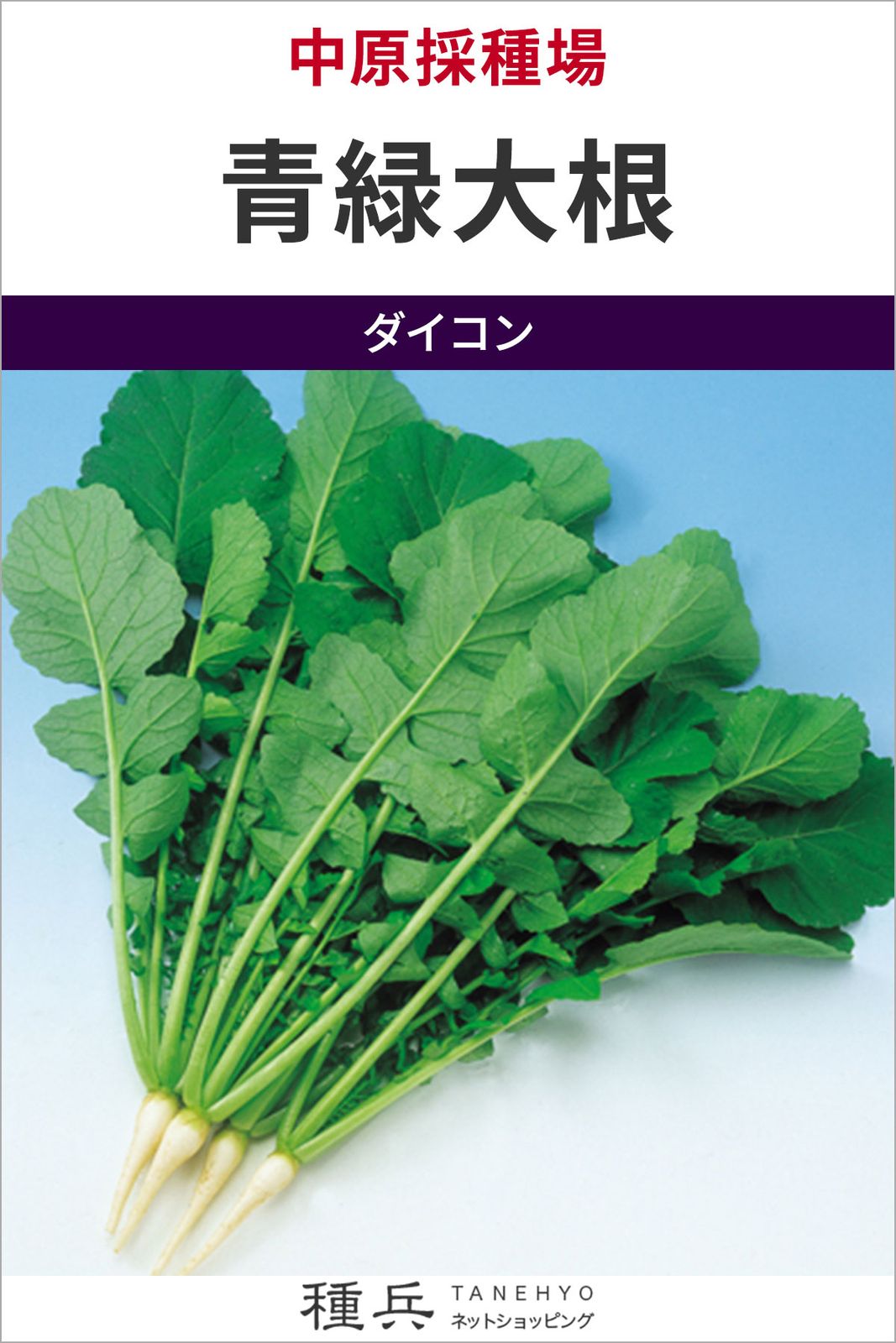 葉ダイコン 種 『青緑大根』  中原採種場